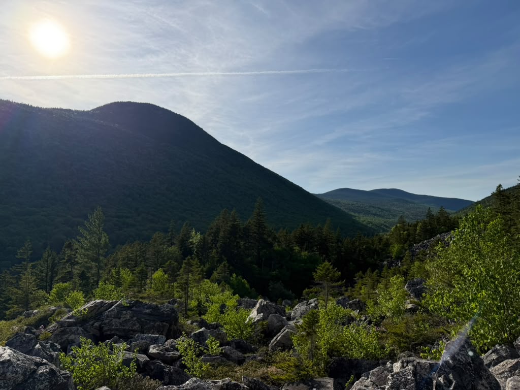 Sun over a forested ridge
